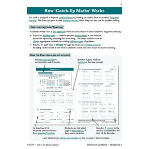 KS3 Maths Catch-Up Workbook 5 (with Answers) Look Inside Image 2