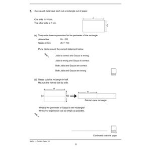 KS3 Maths Practice Papers (Ages 13-14) Look Inside Image 2