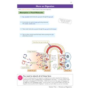 KS3 Science Complete Revision & Practice (Ages 11-14) Look Inside Image 6