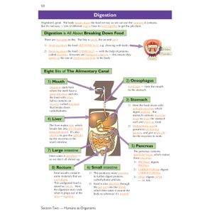 KS3 Science Complete Revision & Practice (Ages 11-14) Look Inside Image 5