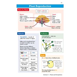 KS3 Science Knowledge Organiser Look Inside Image 4