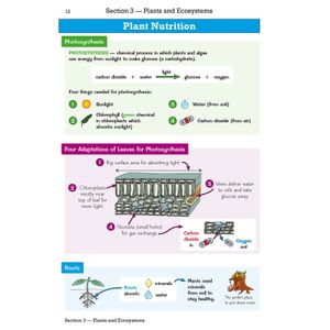KS3 Science Knowledge Organiser Look Inside Image 3