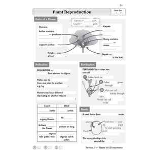 KS3 Science Knowledge Retriever Look Inside Image 5