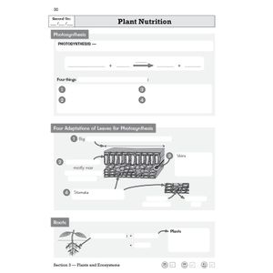 KS3 Science Knowledge Retriever Look Inside Image 4