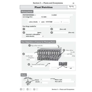 KS3 Science Knowledge Retriever Look Inside Image 3
