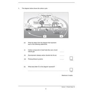 KS3 Science Practice Papers (Ages 13-14) Look Inside Image 3