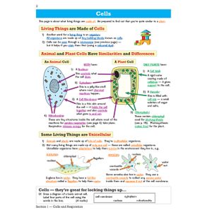 KS3 Science Revision Guide (Ages 11-14) Look Inside Image 5