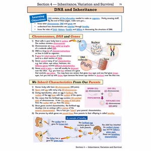 KS3 Science Study & Workbook Pack (Ages 11-14) Look Inside Image 2