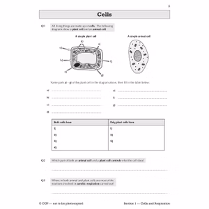 KS3 Science Workbook Pack (Ages 11-14) Look Inside Image 5