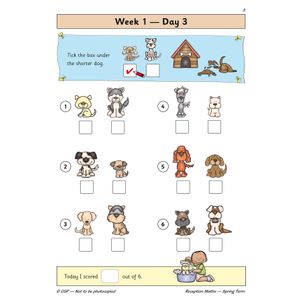 Reception Maths Daily Practice Book: Spring Term Look Inside Image 5