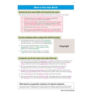 The Sign of the Four Workbook (Ages 14-16) Look Inside Image 3