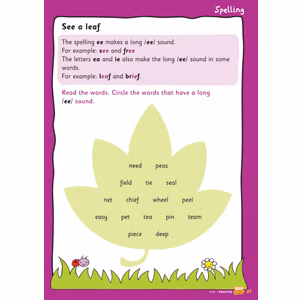 Year 1 English Study & Workbook Pack (Ages 5-6) Look Inside Image 2