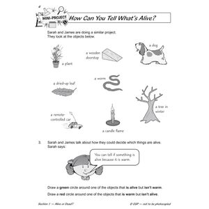 Year 2 Science Study & Workbook Pack (Ages 6-7) Look Inside Image 11