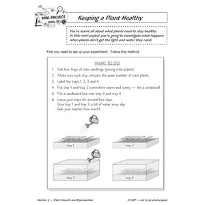Year 2 Science Study & Workbook Pack (Ages 6-7) Look Inside Image 22