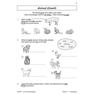 Year 2 Science Workout - Growing & Staying Healthy (Ages 6-7) Look Inside Image 2