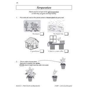 Year 2 Science Workout - Growing Plants (Ages 6-7) Look Inside Image 2