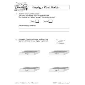 Year 2 Science Workout - Growing Plants (Ages 6-7) Look Inside Image 6