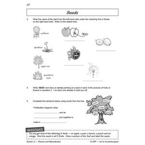 Year 3 Science Workbook Pack (Ages 7-8) Look Inside Image 12