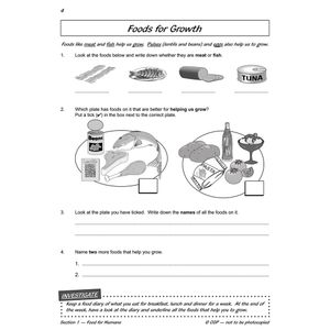 Year 3 Science Workbook Pack (Ages 7-8) Look Inside Image 17