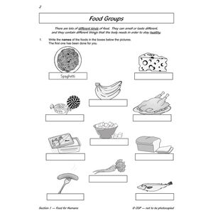 Year 3 Science Workout - Nutrition & The Body (Ages 7-8) Look Inside Image 3