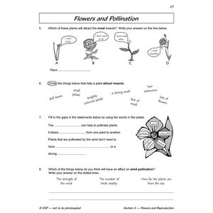 Year 3 Science Workout - Plant Life (Ages 7-8) Look Inside Image 3