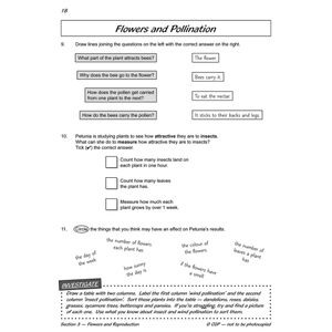 Year 3 Science Workout - Plant Life (Ages 7-8) Look Inside Image 4