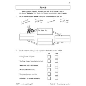 Year 3 Science Workout - Plant Life (Ages 7-8) Look Inside Image 5