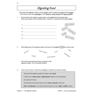 Year 4 Science Workbook Pack (Ages 8-9) Look Inside Image 21