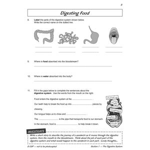 Year 4 Science Workbook Pack (Ages 8-9) Look Inside Image 24