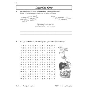 Year 4 Science Workbook Pack (Ages 8-9) Look Inside Image 23