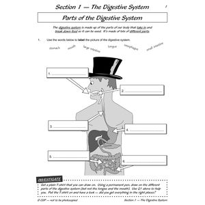 Year 4 Science Workout - Teeth, Digestion & Food Chains (Ages 8-9) Look Inside Image 2