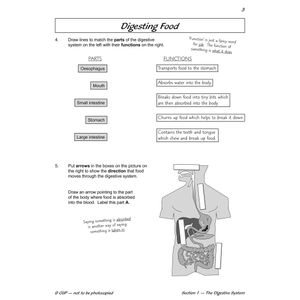 Year 4 Science Workout - Teeth, Digestion & Food Chains (Ages 8-9) Look Inside Image 4