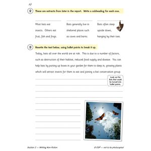 Year 5 English Workbook Pack (Ages 9-10) Look Inside Image 12