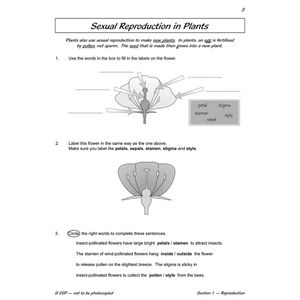 Year 5 Science Workbook Pack (Ages 9-10) Look Inside Image 6