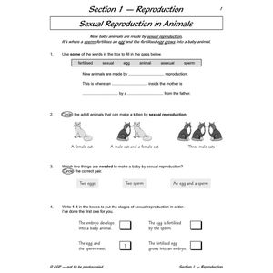 Year 5 Science Workbook Pack (Ages 9-10) Look Inside Image 4