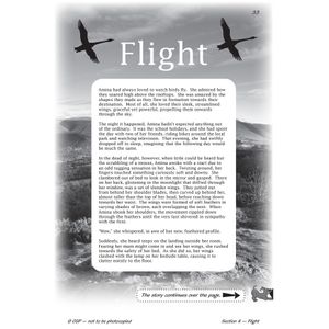 Year 6 Reading SAT Buster Stretch Fiction Look Inside Image 3