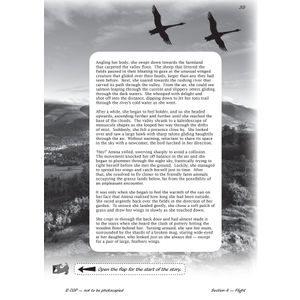 Year 6 Reading SAT Buster Stretch Fiction Look Inside Image 5