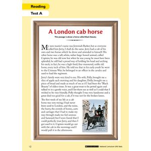 Year 6 Reading SATs Practice Papers (Ages 10-11) Look Inside Image 1