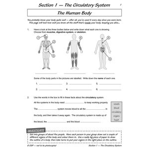 Year 6 Science Workbook Pack (Ages 10-11) Look Inside Image 7