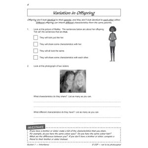 Year 6 Science Workbook Pack (Ages 10-11) Look Inside Image 5