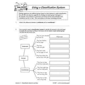 Year 6 Science Workbook Pack (Ages 10-11) Look Inside Image 22