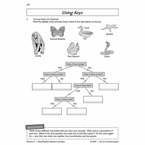 Year 6 Science Workbook Pack (Ages 10-11) Look Inside Image 20