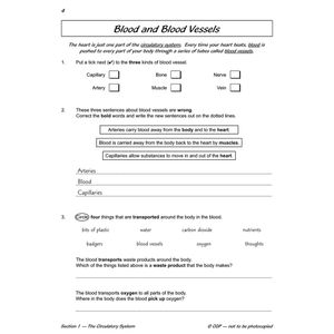 Year 6 Science Workout - Circulation & Keeping Healthy (Ages 10-11) Look Inside Image 5
