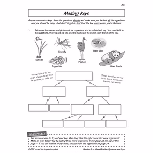 Year 6 Science Workout - Electrical Circuits & Living Things (Ages 10-11) Look Inside Image 4