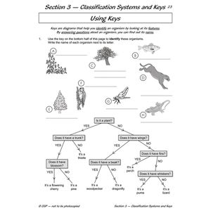 Year 6 Science Workout - Electrical Circuits & Living Things (Ages 10-11) Look Inside Image 2