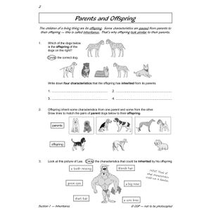 Year 6 Science Workout - Evolution & Inheritance (Ages 10-11) Look Inside Image 3