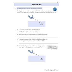 Year 8 Science Targeted Workbook (Ages 12-13) Look Inside Image 5