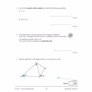 Year 9 Maths Workbook Pack (Ages 13-14) Look Inside Image 5