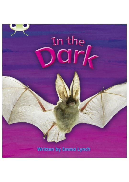 Bug Club Phonics Non Fiction Reception Phase 3 Set 10 In the Dark