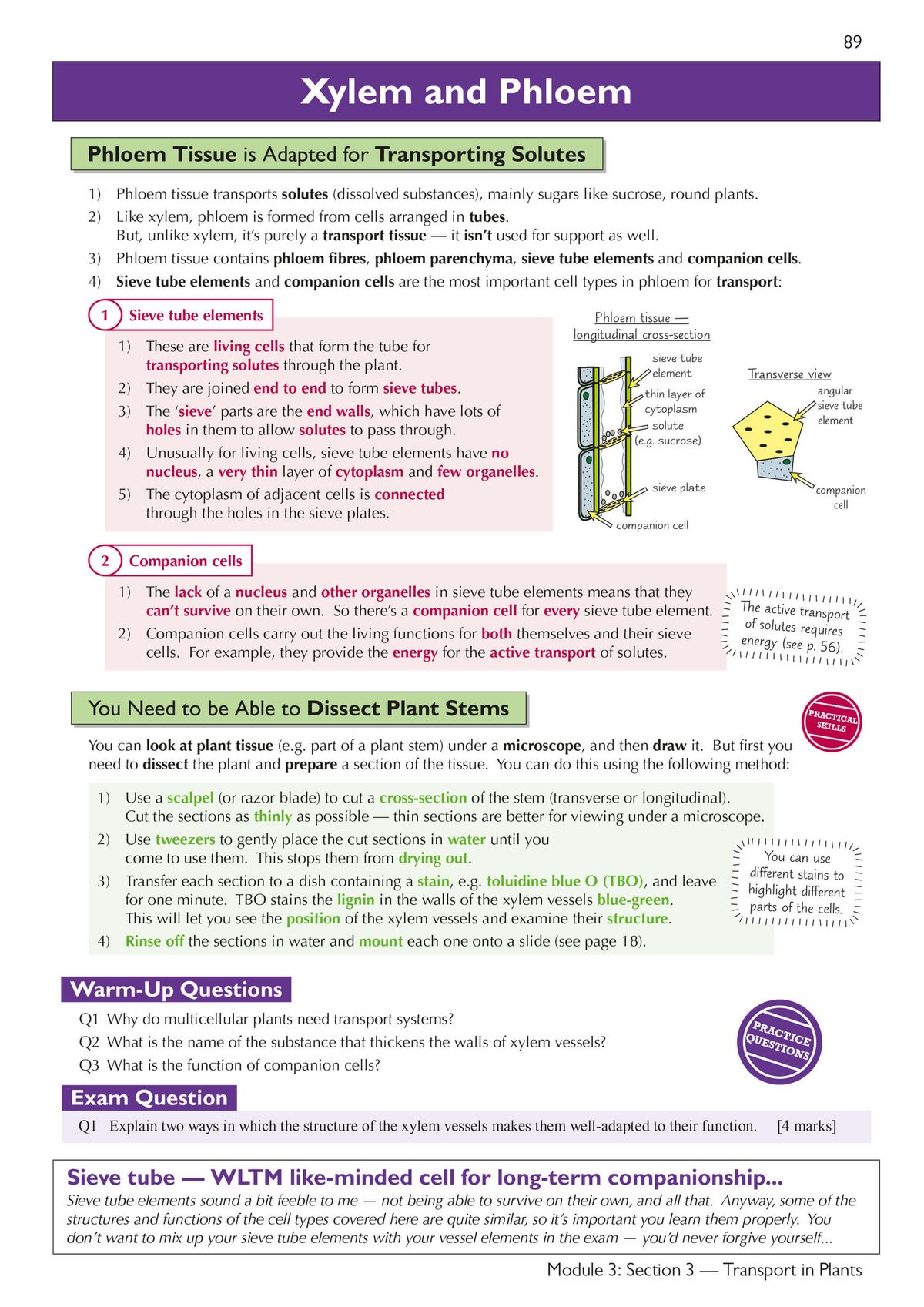 Sample page showing detailed xylem and phloem transport diagrams and study notes